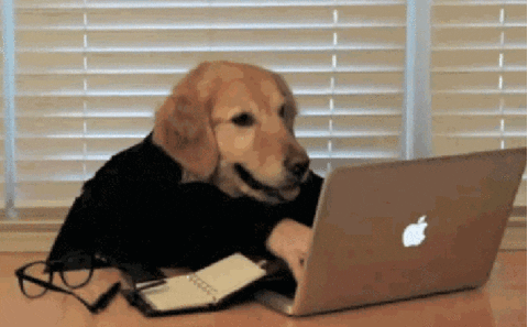 estudiando memes gif